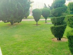 -黑石礁公园