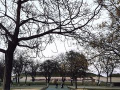 -汉长安城未央宫国家考古遗址公园