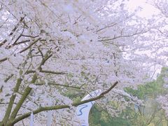 -杭州少年儿童公园