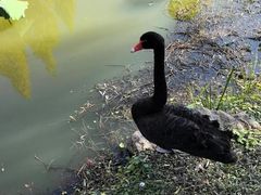 -浙江农林大学(东湖校区)