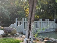 -八大山人梅湖景区