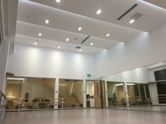 -中央芭蕾舞团·中芭艺蕾(酒仙桥明星校区)