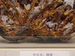 -天津自然博物馆