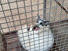 -北戴河集发农业梦想王国