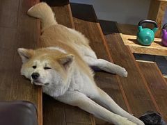 -YCHL Studios健身工作室(市二宫店)
