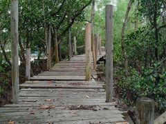 -东寨港红树林旅游区