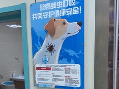 -北京观赏动物医院·24小时大型综合·猫专科·异宠专科
