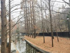 -白水寺森林公园