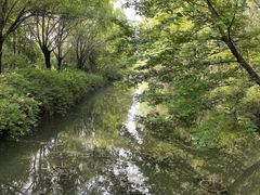 -洛阳市隋唐城遗址植物园