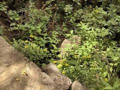 -秦岭终南山世界地质公园翠华山景区