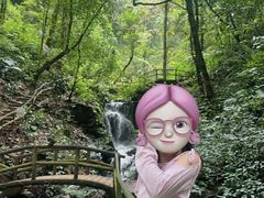 -莫里热带雨林景区