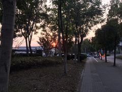 -上海如意智慧酒店(上海科学院店)