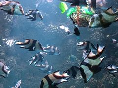 -海合安青岛极地海洋公园