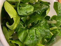 有机奶白菜-烹然四季椰子鸡火锅(团结湖总店)