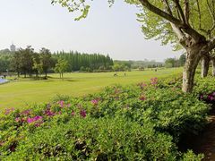 -宜兴龙背山森林公园