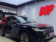 -阿胡BOP保镖隐形车衣(静安旗舰店)