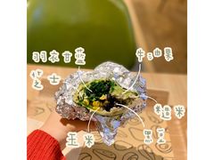 -油梨树AVOCADO TREE(嘉里中心店)