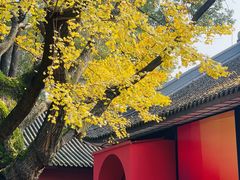 -成都武侯祠博物馆