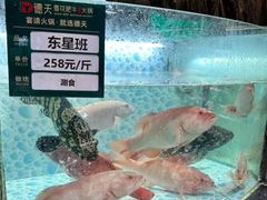 -德天肥牛海鲜火锅(城西银泰店)