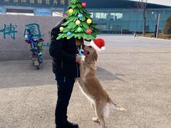 -济南国际园博园