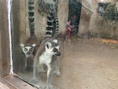 -石家庄市动物园