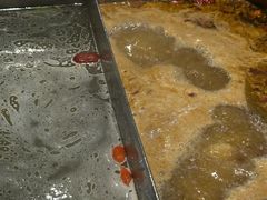 -草原塞蛮羊火锅城(港湾店)