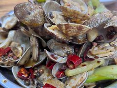 -清真·马峰烤肉(小学习北巷店)