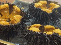 -海胆小馆(东北水饺·春柳店)