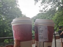 -茶颜悦色(岳麓山顶店)