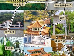 -深圳仙湖植物园