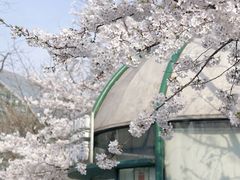 -南山植物园