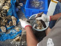 -花苑美食横琴生蚝火锅(拱北粤华路店)