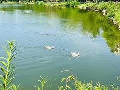 -大连外国语大学(旅顺校区)