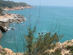 -广东惠东海龟国家级自然保护区