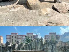 -上海野生动物园