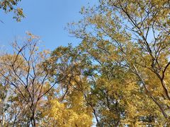 -白塘生态植物园