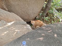 -天津盘山风景名胜区