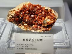 -湖南省地质博物馆