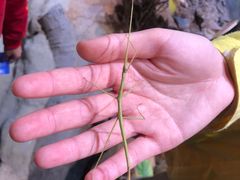 -正佳雨林生态植物园