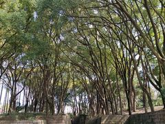 -上海方塔园