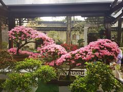 -惠山古镇·寄畅园