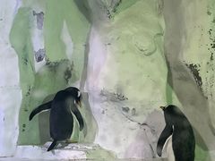 -南昌海洋公园