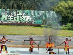 -深圳野生动物园