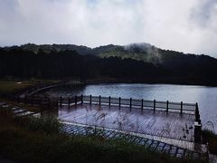 -海南热带雨林国家公园吊罗山景区