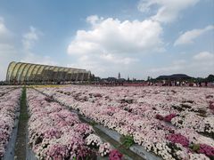 -中国天府农业博览园