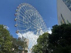 -弘阳·未来世界(弘阳广场店)