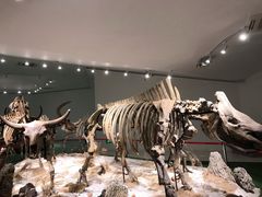 -南通洲际绿博园