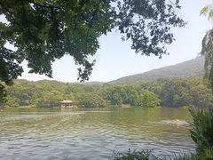 -紫霞湖公园