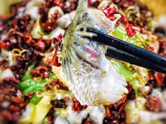 -小胖墩炝锅鱼(天钥桥路店)