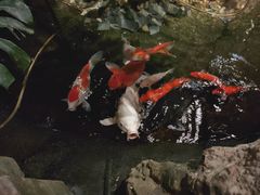 -聚缘堂·海鲜私房菜(松岭路店)
